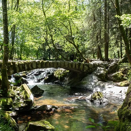 Le Du Pont Des Fees Alpehytte *